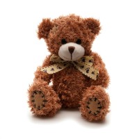 Patched Paw 18cm Teddy Bear