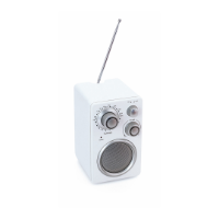 Tuny Radio Speaker