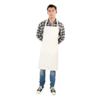 Brand Lab Organic/Recycled Bib Pocket Apron