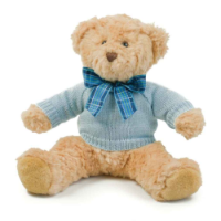 Mumbles Teddy Jumper