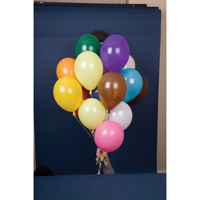 G071 10 Inch Balloons