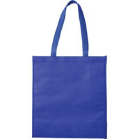 G095 Non Woven Cooling Bag