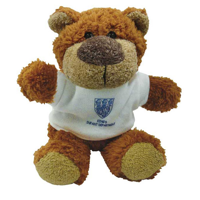 G137 8 Inch Buster Bear with T-Shirt