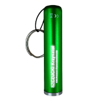 Torch Keyring with Light Up Logo