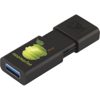 G015 Kingston DataTraveler 100G3-8GB USB Flash Drive