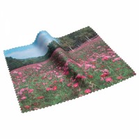 Microfibre Cleaning Cloth (Small)