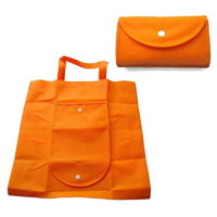 Non Woven Bag - Folding