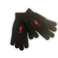 Touchscreen Gloves - Embroidered