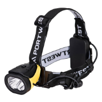 Dual Power Head Light