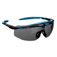 Peak KN Safety Glasses