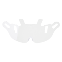 Endurance Visor Replacement