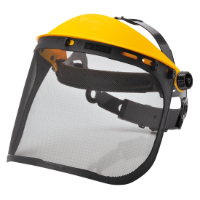 Browguard With Mesh Visor