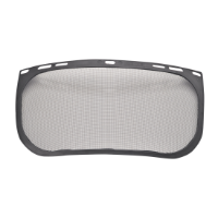 Replacement Mesh Visor