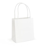 Brunswick White Small Paper Bag