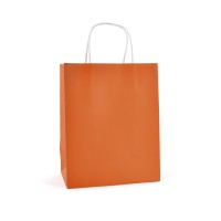 Brunswick Medium Coloured Paper Bag