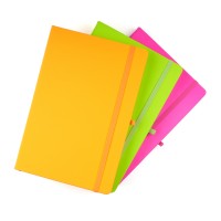  A5 Neon Mole Notebook