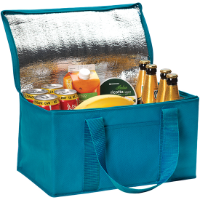 Chatham 12 Can Cooler Bag.