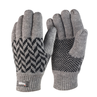 Pattern Thinsulate Glove