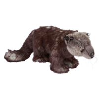 BINTURONG Soft Toy