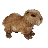 CAPYBARA Soft Toy