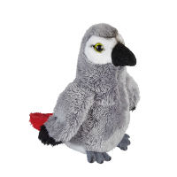 AFRICAN GREY PARROT Soft Toy