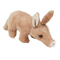 AARDVARK