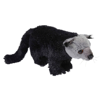 BINTURONG