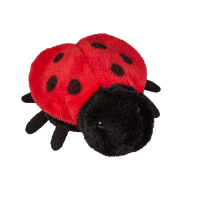 LADYBIRD Soft Toy