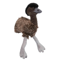 EMU Soft Toy