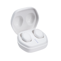 Wireless Earphone With Charging Case REEVES-ARDKIRK