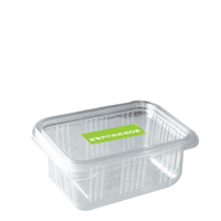 Clear Hinged Salad Container - 750cc/ml