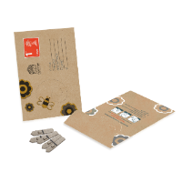 Large Seed Packet Envelopes - Kraft