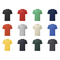 Adult Colour T-Shirt Iconic
