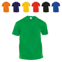 Adult Color T-Shirt Hecom