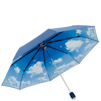 Alu Oversize Mini Windfighter Umbrella