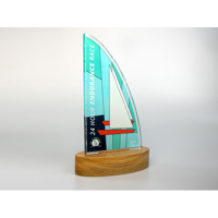Freestanding Acrylic Award, standard shape with real wood base 125x225mm