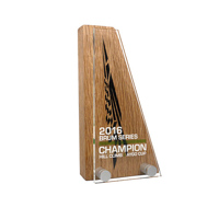 Real Wood Block Award With Acrylic Front, basic standard shapes 80x150mm