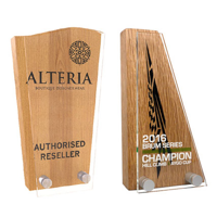 Real Wood Block Award With Acrylic Front, basic standard shapes 95x175mm