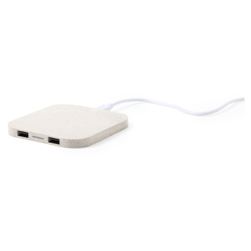 Riens Charger in 