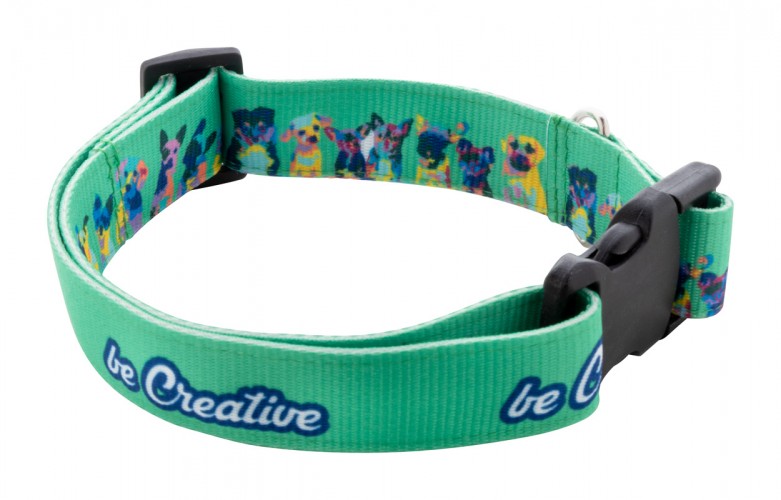 custom dog collar