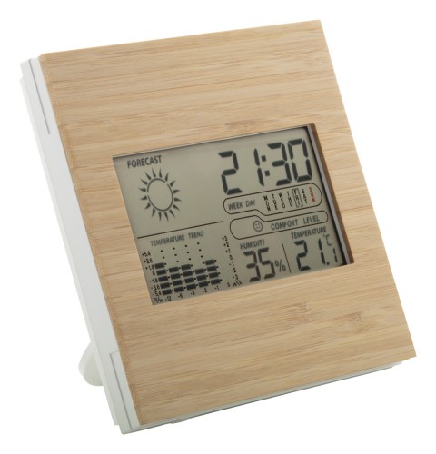 bamboo weather station