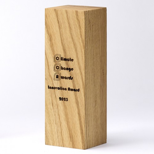 21cm x 6cm x 6cm Beech Square Column Award