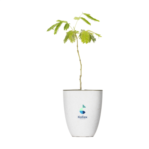 Treemore Letterbox Tree Persian Silk