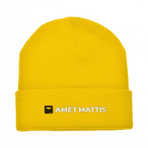 Antarctica Hat Yellow