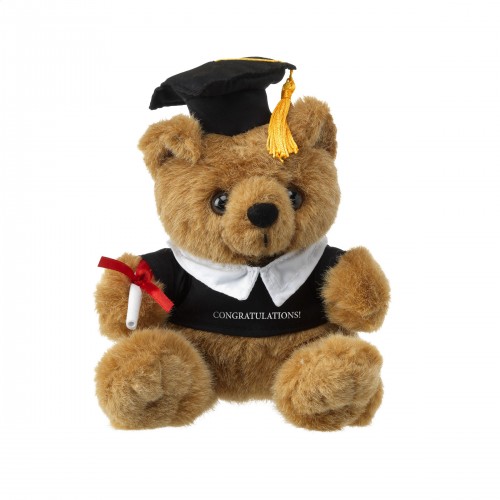 Prof bear cuddle toy