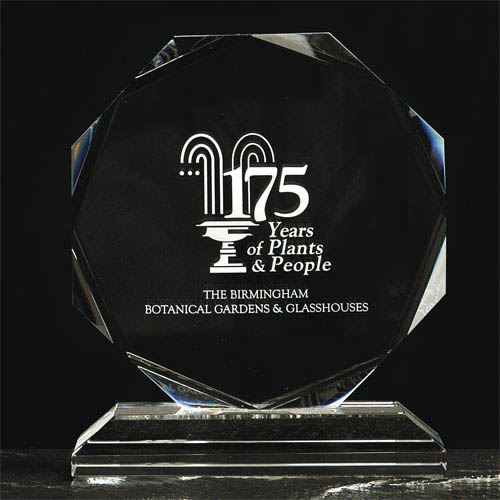 Medium crystal octagon award