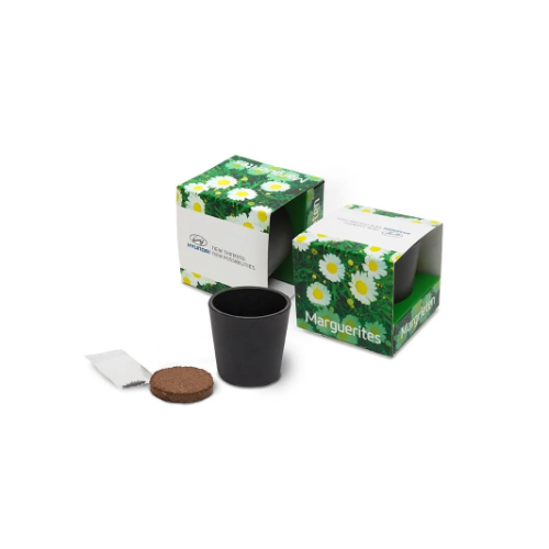 Ceramic Grow Kit