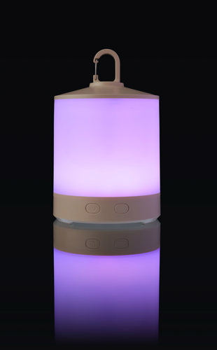 Multi-functional light in 