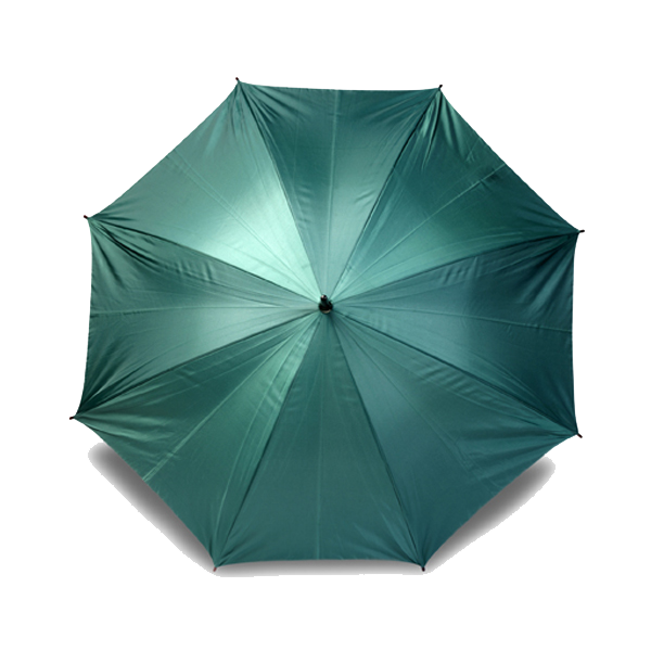 Automatic umbrella in green