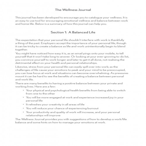 Recyco Plus A5 Wellness Journal